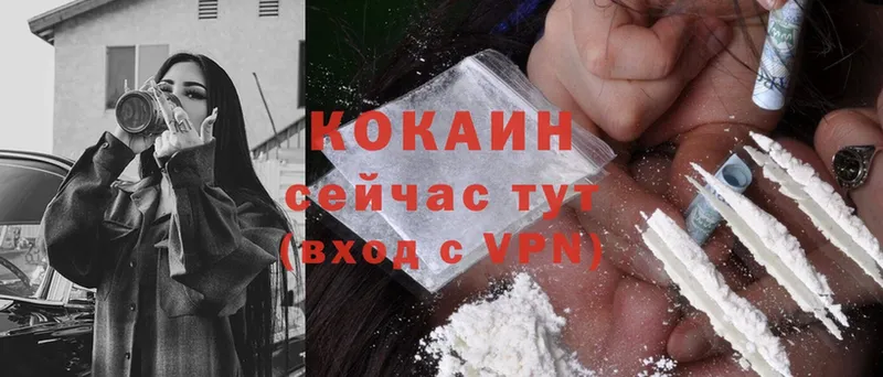 как найти закладки  Любань  Cocaine Fish Scale 